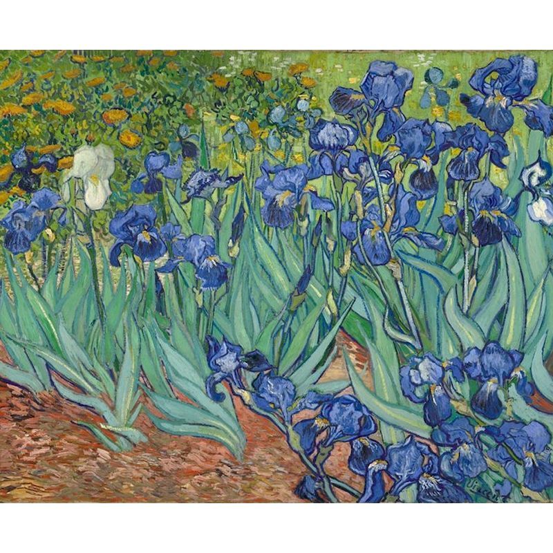 Digital Oil Painting Coloring Painting Frameless Oil